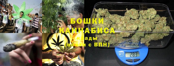 мдпв Новодвинск