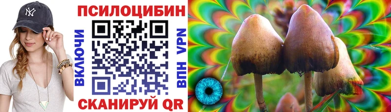 Галлюциногенные грибы Cubensis Черногорск
