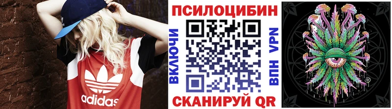 hydra маркетплейс  купить  цена  Черногорск  Галлюциногенные грибы Psilocybe 